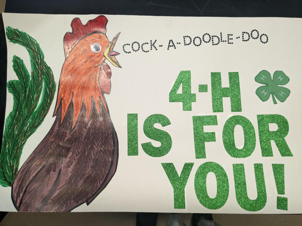 Poster of Rooster crowing cock-a-doodle-doo 4-H is for you.
