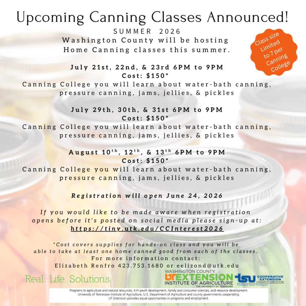 Upcoming Canning Classes Announced! Summer 2026

Class Sizes limited to 7 per canning college. 
Washington County will be hosting 
Home Canning classes this summer.
 
July 21st, 22nd, & 23rd 6PM to 9PM
Cost: $150* 
Canning College you will learn about water-bath canning, pressure canning, jams, jellies, & pickles

July 29th, 30th, & 31st 6PM to 9PM
Cost: $150* 
Canning College you will learn about water-bath canning, pressure canning, jams, jellies, & pickles

August 10th, 12th, & 13th 6PM to 9PM
Cost: $150* 
Canning College you will learn about water-bath canning, pressure canning, jams, jellies, & pickles

Registration will open June 24, 2026

If you would like to be made aware when registration 
opens before it's posted on social media please sign-up at: https://tiny.utk.edu/CCInterest2026

*Cost covers supplies for hands-on class and you will be 
able to take at least one home canned good from each of the classes. 
For more information contact: 
Elizabeth Renfro 423.753.1680 or eelizond@utk.edu